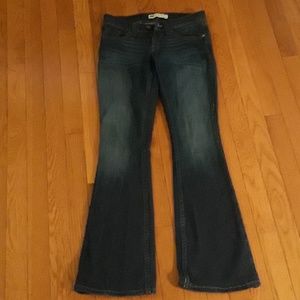 Size 1 short Levi's boot cut